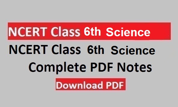 NCERT Class 6 Science PDF in Hindi and English